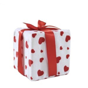 SCATOLA REGALO IN PELUCHE C/ZIP SACCA 15*15*15